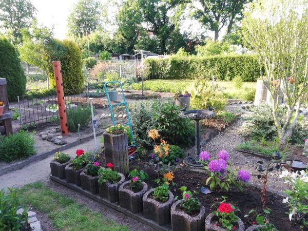Ein Garten aus dem Kleingartenverein Kropp