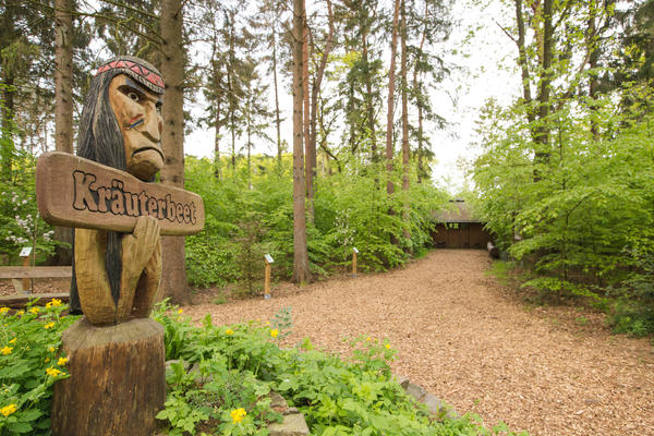 Der Schulwald ist eine Begegnungsstätte in der Natur für Jung und Alt