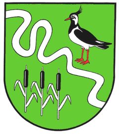 Der Flusslauf Sorge, im Wappen dargestellt durch das stark bewegte Band, teilt das Gemeindegebiet von Meggerdorf in ein Naturschutzgebiet und in ein intensiv landwirtschaftlich genutztes Gebiet. Die Rohrkolben vertreten daher das Naturschutzgebiet, während der Kiebitz für die landwirtschaftlich genutzten Flächen steht, in denen er verstärkt anzutreffen ist.