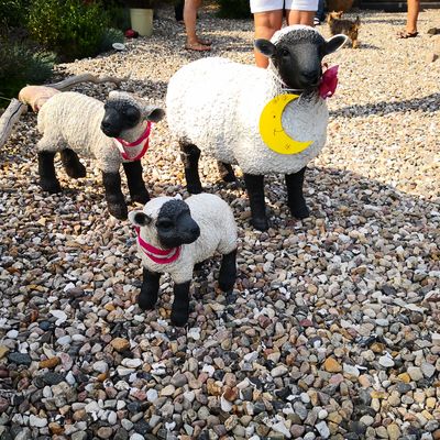 Geschmückte Schafe beim Kropper Mondschein-Garten 2020